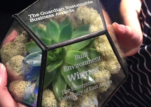 Photo of Guardian Sustainable Business Award